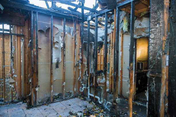 Professional Fire Damage Removal technician working in Taylors, SC